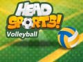 Hra Volejbal od Head Sports online