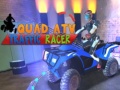 Hra Quad ATV Preteky v Doprave online