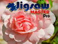 Hra Majster Puzzle Pro online