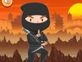 Hra Trénovaný Ninja Puzzel online