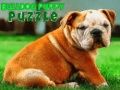 Hra Puzzle šteniatko bulldoga online
