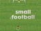 Hra Malý Futbal online