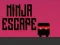 Hra Ninja útek online