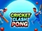 Hra Kriketový Konflikt Pong online
