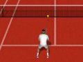 Hra Skutočný Tenis online