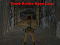Hra Tomb Raider: Otvorená Lara online