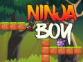 Hra Ninja Chlapec online