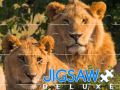 Hra Jigsaw Deluxe online