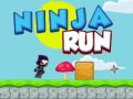 Hra Ninja Beh online