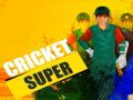 Hra Super Kriket online