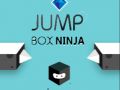Hra Skákajúce Box Ninja online