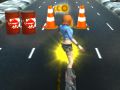 Hra Skaterka online