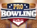 Hra Profesionálny bowling online