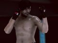 Hra MFS: MMA Fighter online