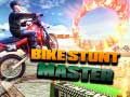 Hra Majster bicyklových triků online