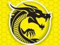 Hra Kung Fu Hnev online