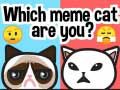 Hra Ktorý meme mačka si? online