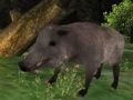 Hra Lov divých svíň online