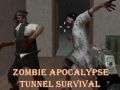 Hra Prežitie v tuneli zombie apokalypsy online