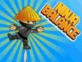 Hra Ninja Rovnováha online