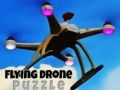 Hra Lietajúca Dronová Hádanka online