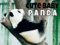 Hra Roztomilá panda na bábu online