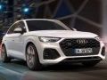 Hra Audi SQ5 TDI Sklz online