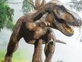 Hra Puzzle Karnivóra Tyrannosaurus Rex online