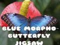 Hra Hádanka motýľa Blue Morpho online
