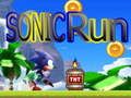 Hra Sonic Beh online