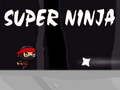 Hra Super ninja online