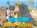Hra Puzzle s Fotografiou online