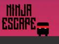 Hra Ninja útek online