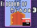 Hra Královstvo Ninjov 3 online