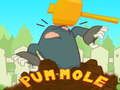 Hra Pum-Mole online