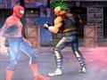 Hra Spiderman: Uličný Bojovník online