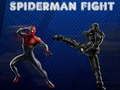 Hra Spider-Man boj online Hra Spider-Man boj online