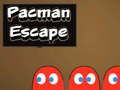 Hra Pacman Únik online