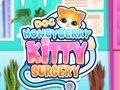 Hra Doktor HoneyBerry Mačacia Chirurgia online