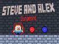 Hra Dungeony Steva a Alex online