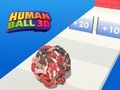 Hra Ľudská Loptová 3D online