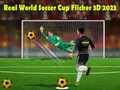 Hra Skutočný Svetový Pohár vo Futbale Flicker 3D 2023 online