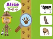 Hra Svet Aliciných stôp online