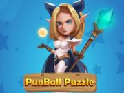Hra Punball Hádanka online Hra Punball Hádanka online