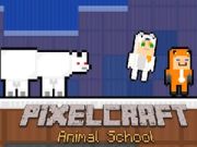 Hra PixelCraft Zverinová škola online