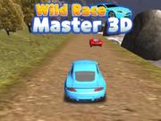 Hra Divoký pretekár majster 3D online