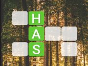 Hra Zmes online
