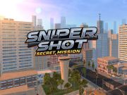 Hra Secret Mission: Sniper Shot online