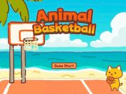 Hra Basketbal zvierat online