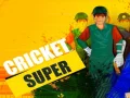 Hra Super Kriket online Hra Super Kriket online